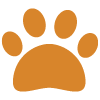 meet the animals icon